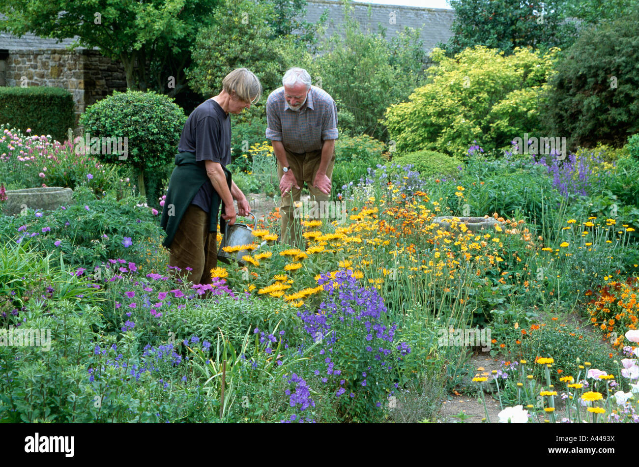 Border summer watering hi-res stock photography and images - Alamy