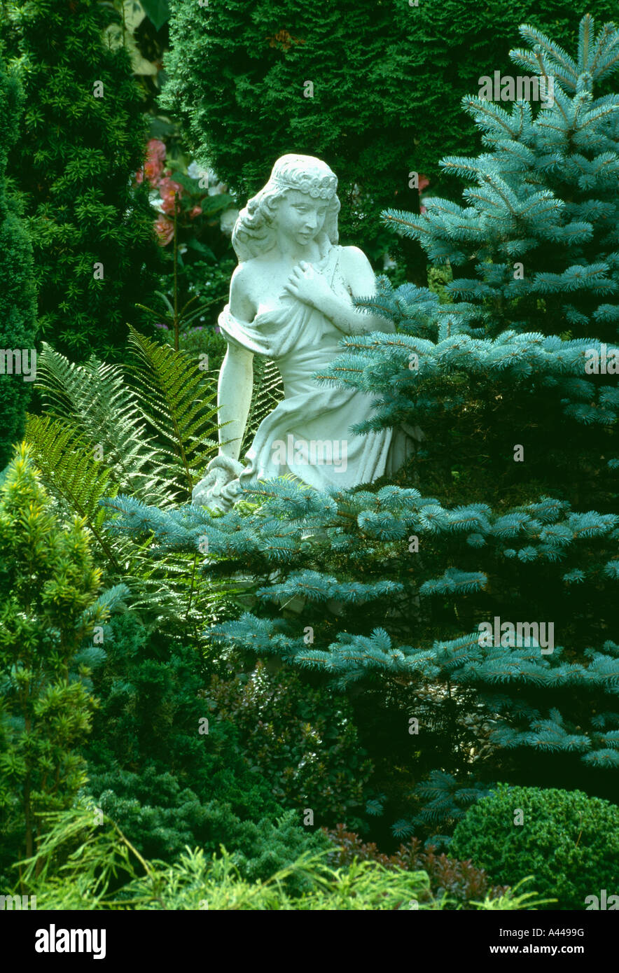Classical garden statue and small blue spruce tree Stock Photo