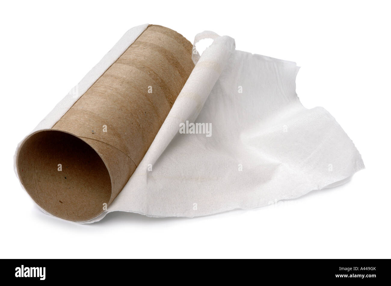 Empty toilet paper roll isolated on a white Stock Photo by Ha4ipuri