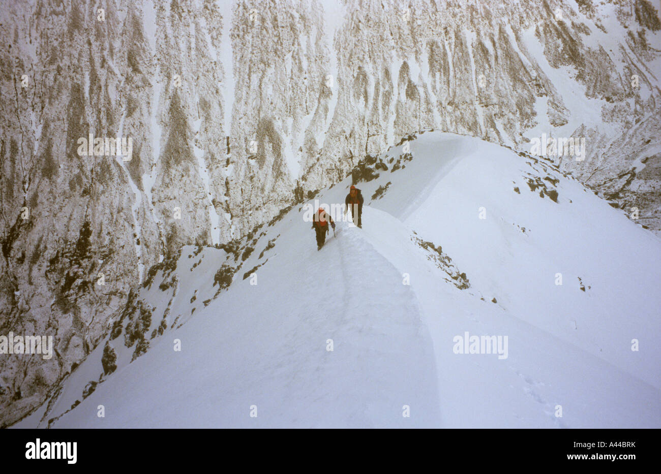 Ledge Route, climbers high on the North Face of  Ben Nevis in winter. Fort William, Scotland Stock Photo
