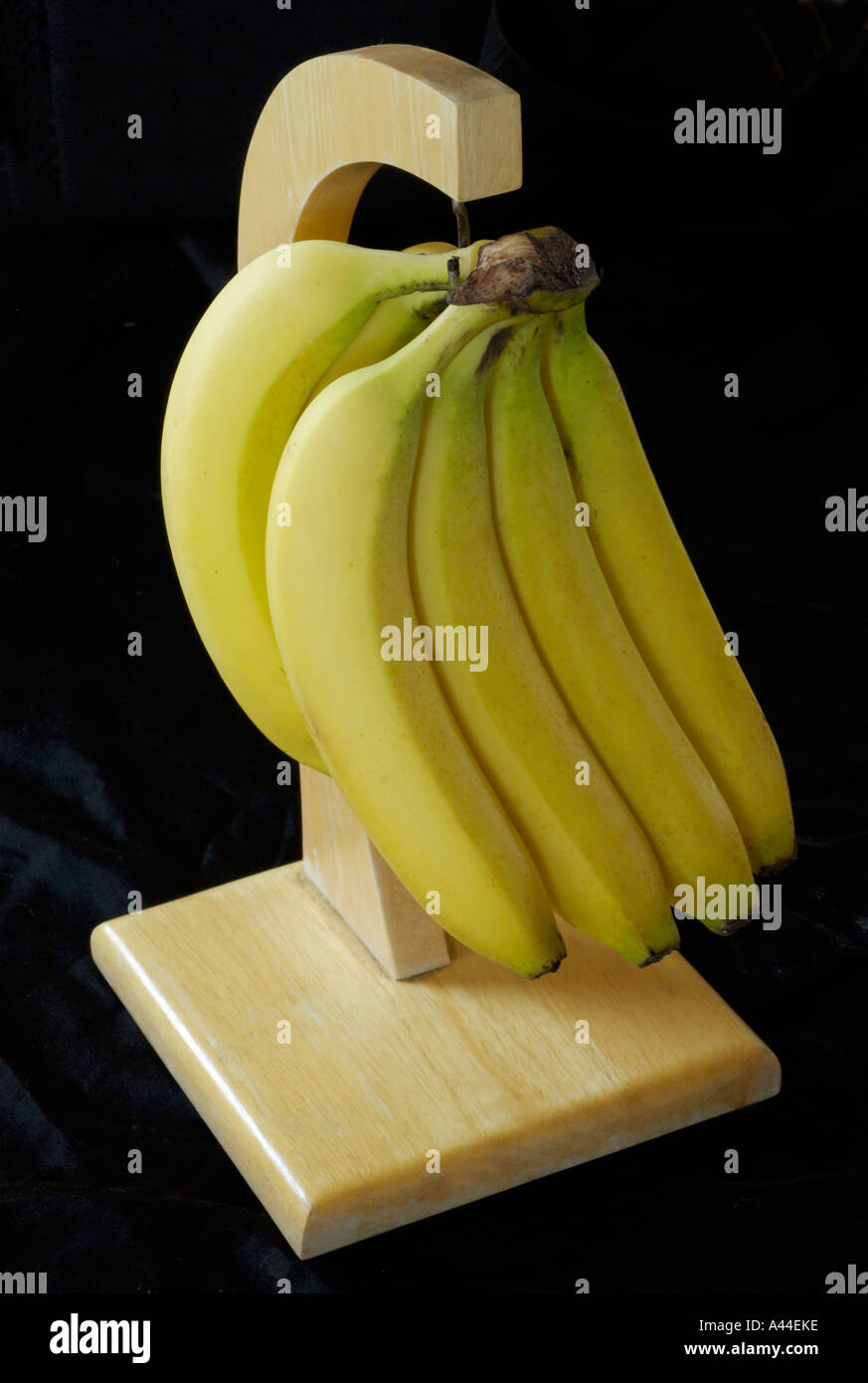 bunch of bananas hanging from hanger Stock Photo Alamy