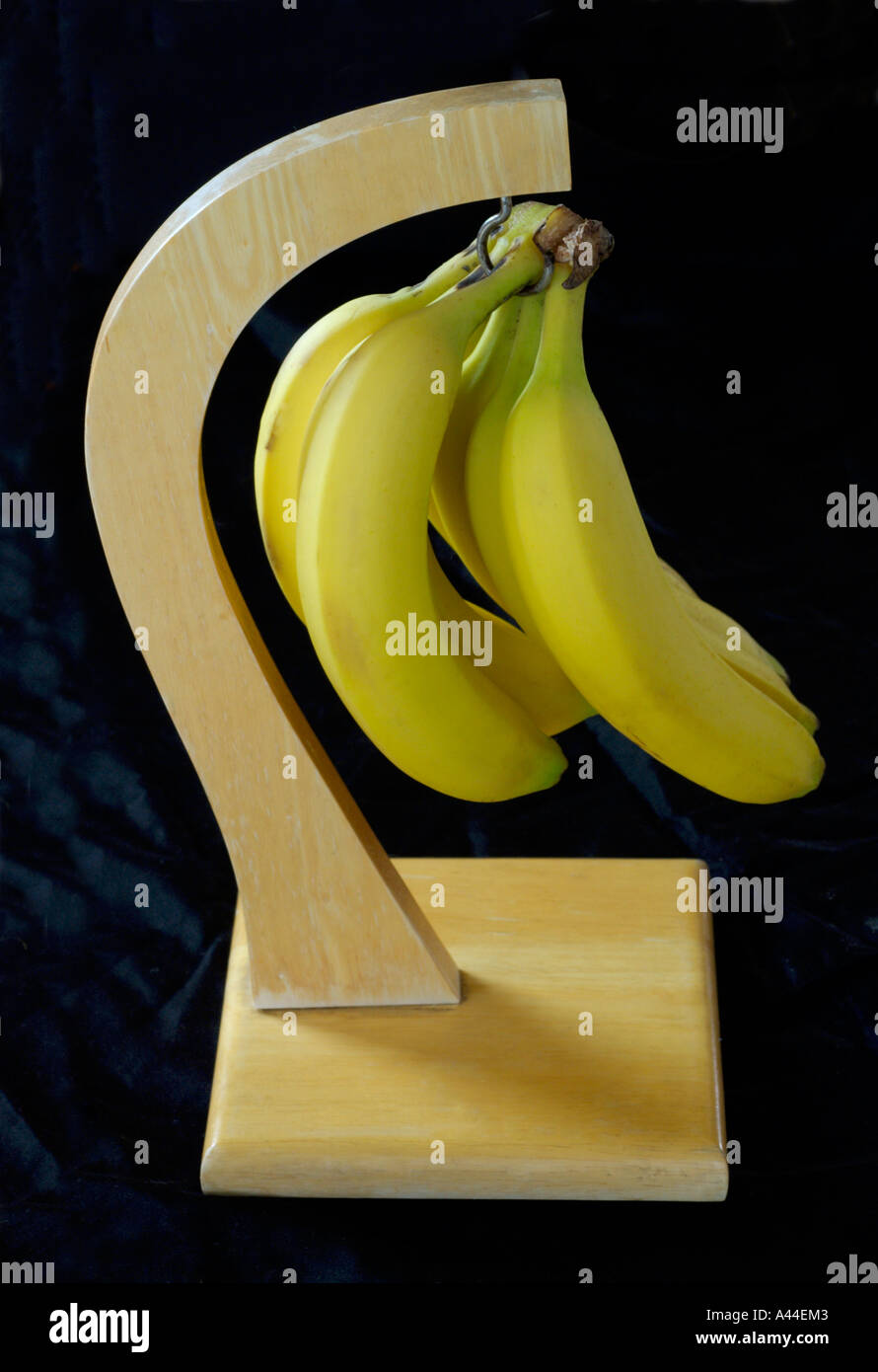 bunch of bananas hanging from hanger Stock Photo Alamy