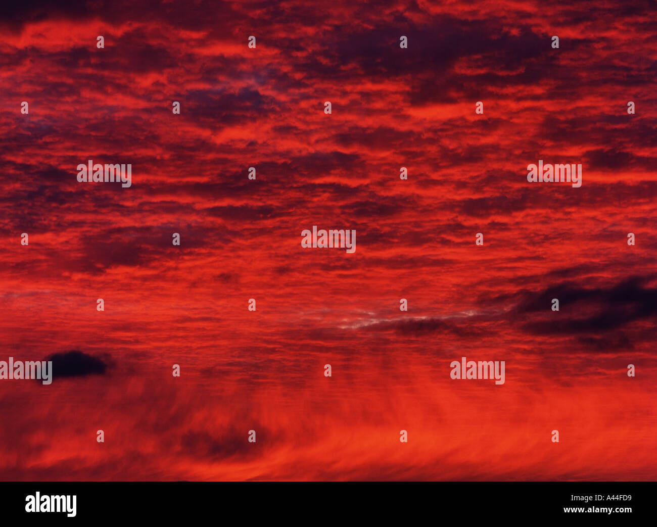 dh Clouds SUNRISE WEATHER Whispy angry stormy red sunrise dawn Orkney sky cloud background dramatic Stock Photo