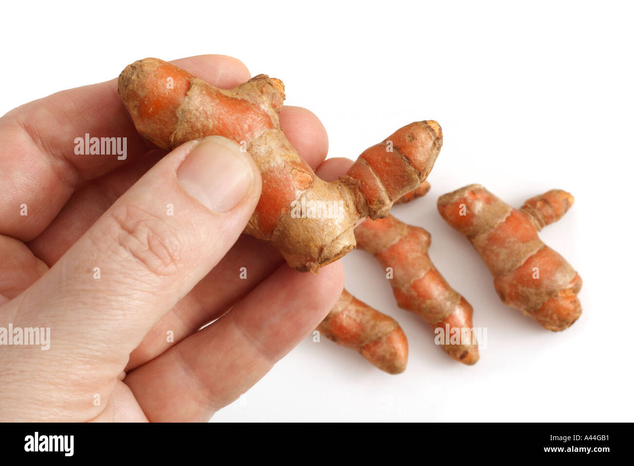 Turmeric root Stock Photo