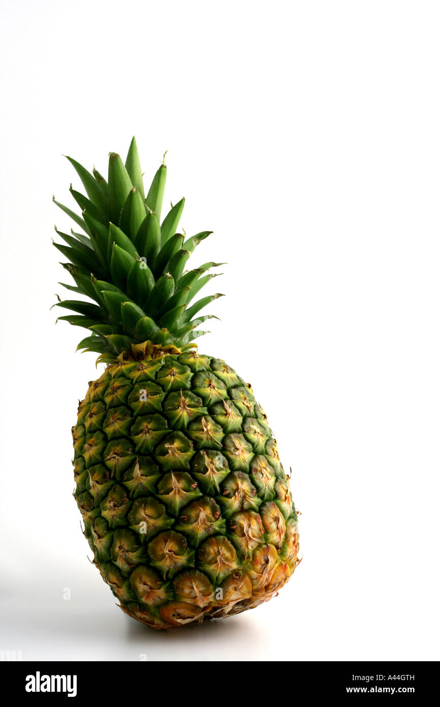 Pineapple (nanas comosus Stock Photo Alamy