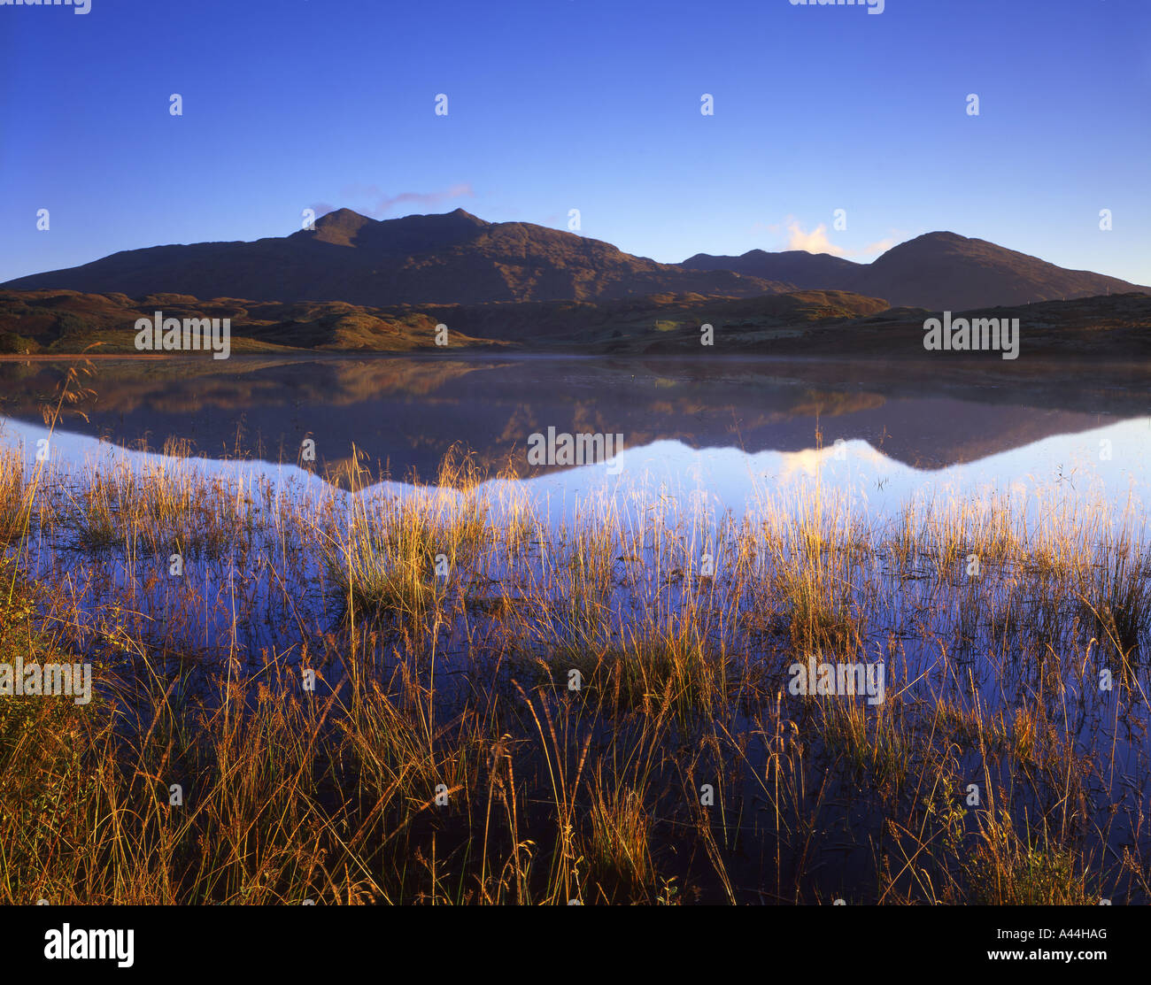 Ben Cruachan at dawn reflected in the still waters of Loch Tromlee near Kilchrenan, Argyll Stock Photo
