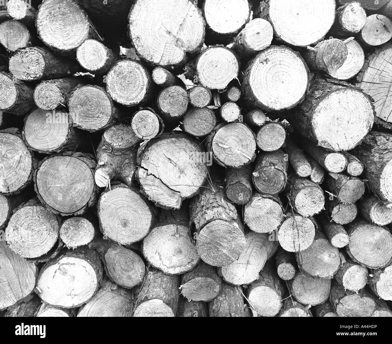 Stack of firewood Stock Photo Alamy