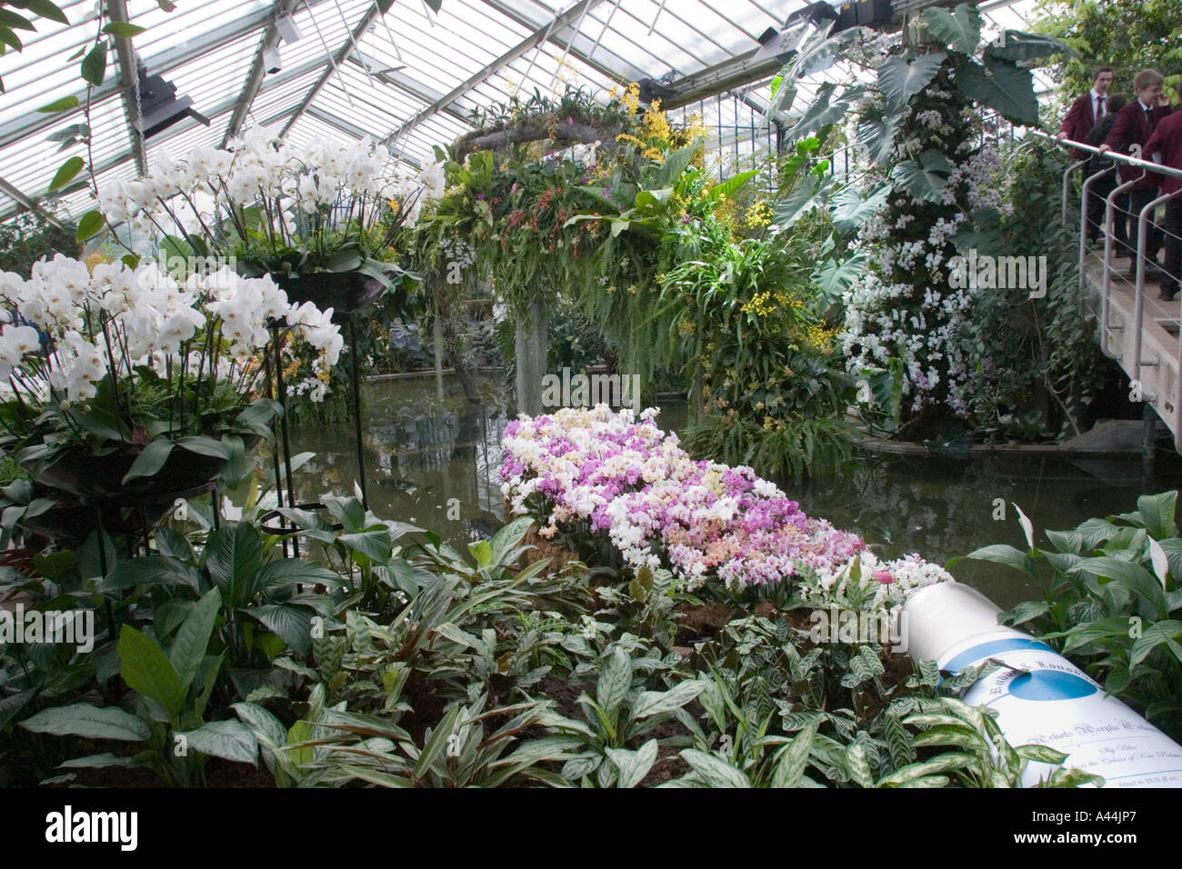Orchids in Art and design - Kew Gardens Orchid Festival with oversized palettes, paint brushes and tubes Stock Photo