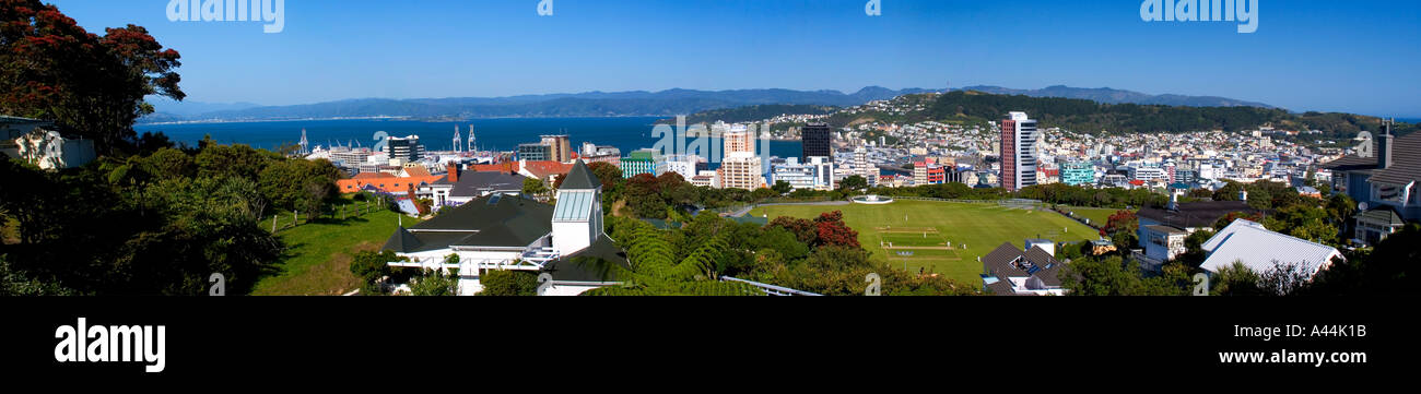 Panoramic view of Wellington Stock Photo