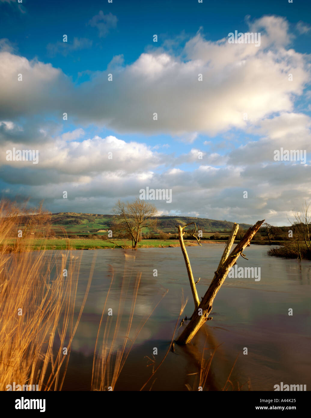 Bredon Hill seen from the River Avon Worcestershire England Stock Photo