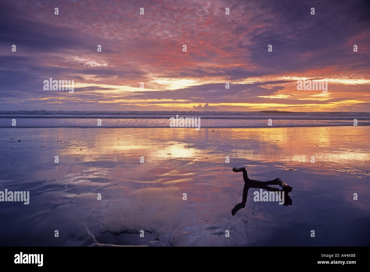 Lompoc, california beach hi-res stock photography and images - Alamy
