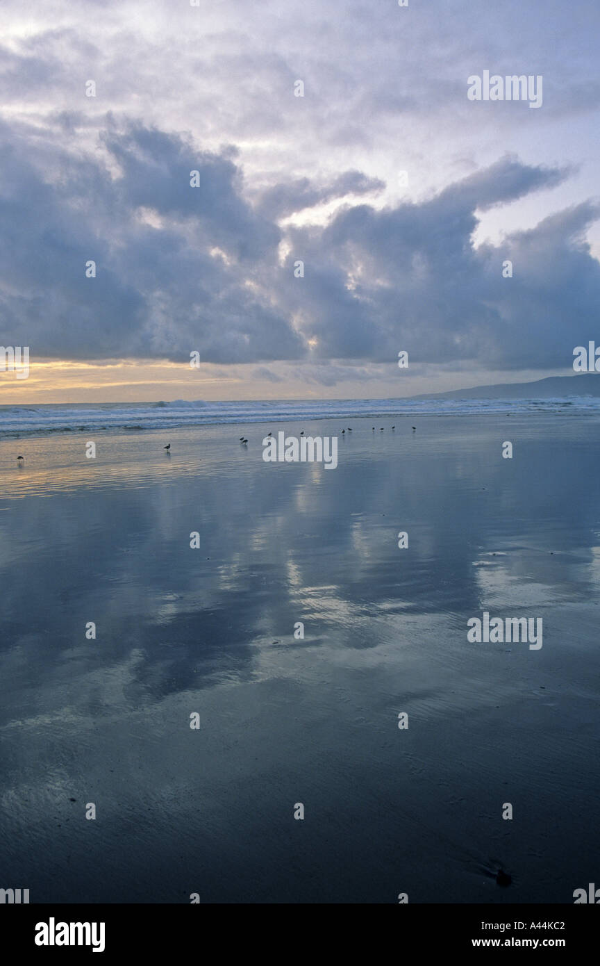 Lompoc, california beach hi-res stock photography and images - Alamy
