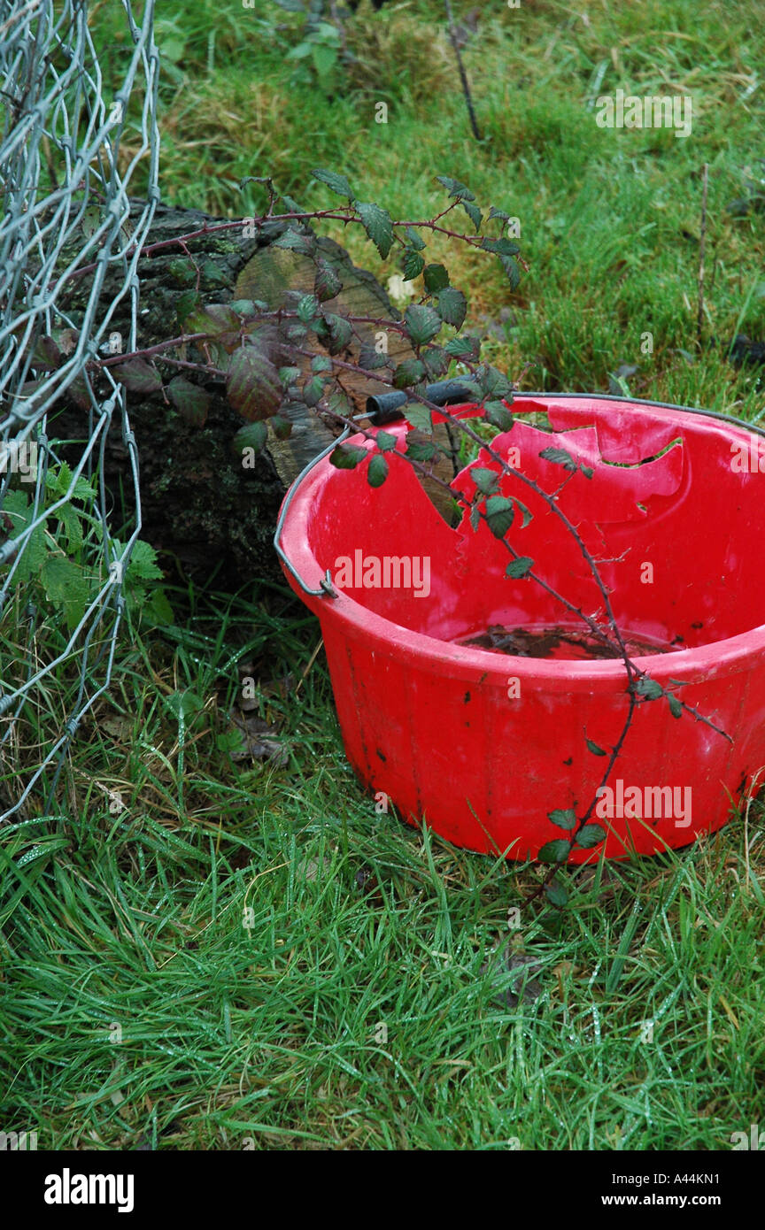 Red bucket in garden Stock Photo - Alamy