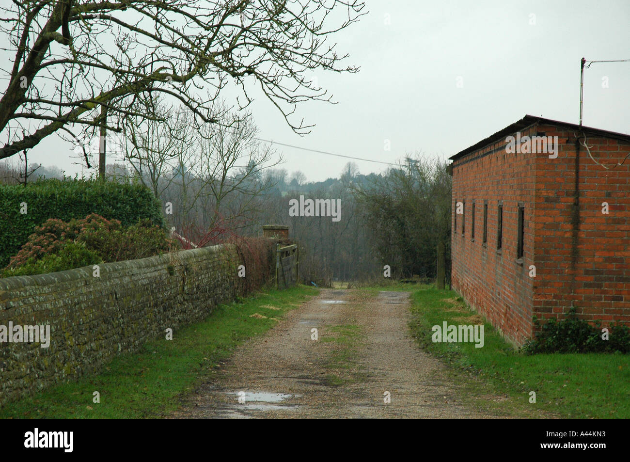 Drive to stables hi-res stock photography and images - Alamy
