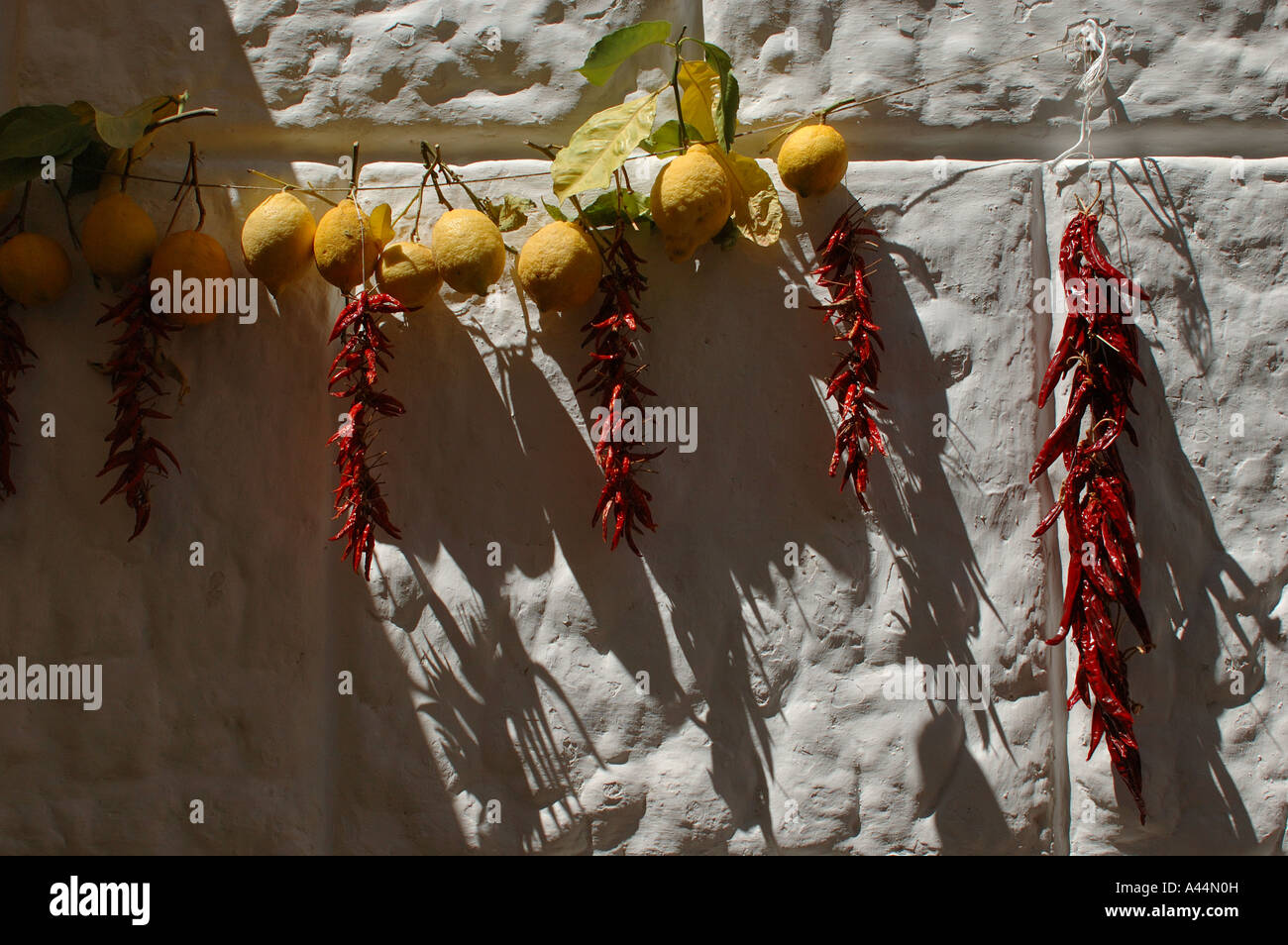 Limes and hot peppers hanging on a wall Stock Photo - Alamy