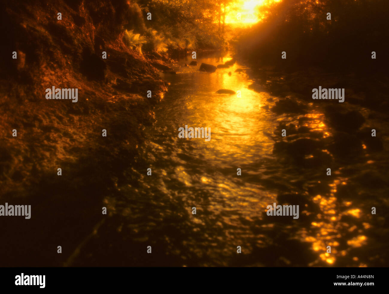 Twilight soft focus hi-res stock photography and images - Alamy
