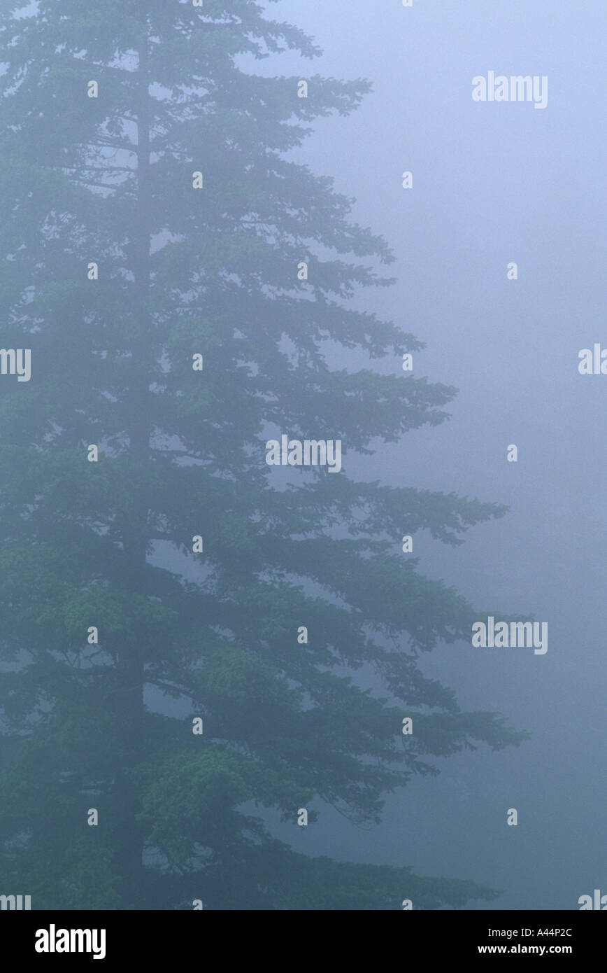 Plant shrouds hi-res stock photography and images - Alamy