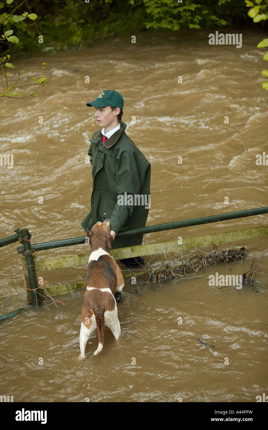 a young man with a hound, hunting mink in mid wales Stock Photo