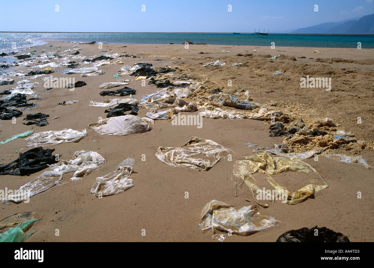 plastic bag beach