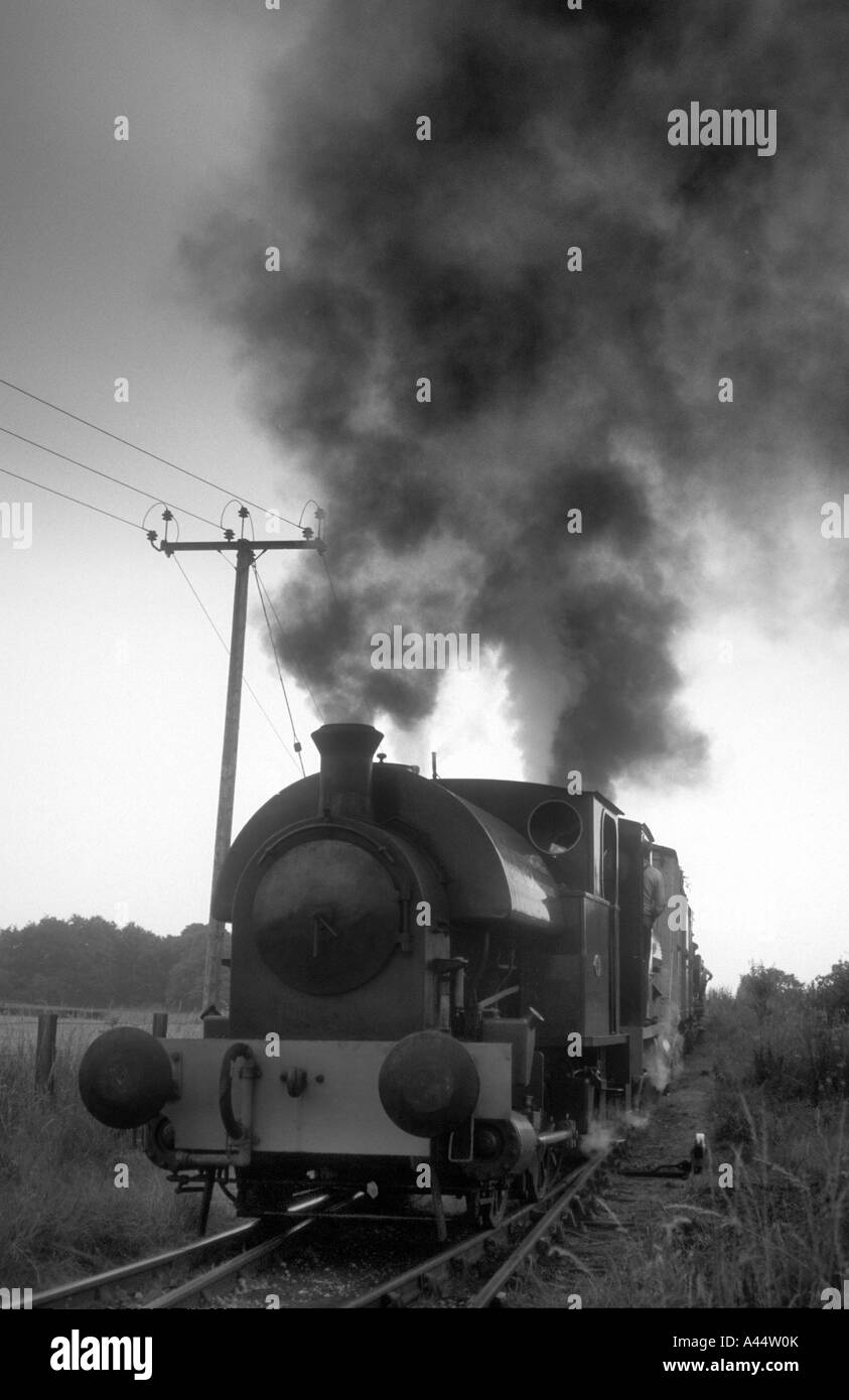 Saddle Tank Steam Trains In Full Steam.Their Are Two Engines Linked Together ,The Latter Being Hidden By The One In Front. Stock Photo