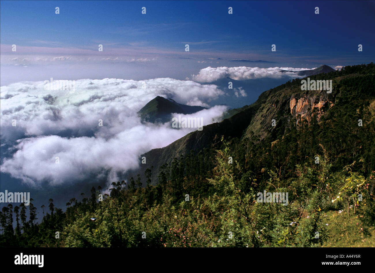 Beautiful scenery in Kodaikanal,Tamil Nadu, India Stock Photo Alamy