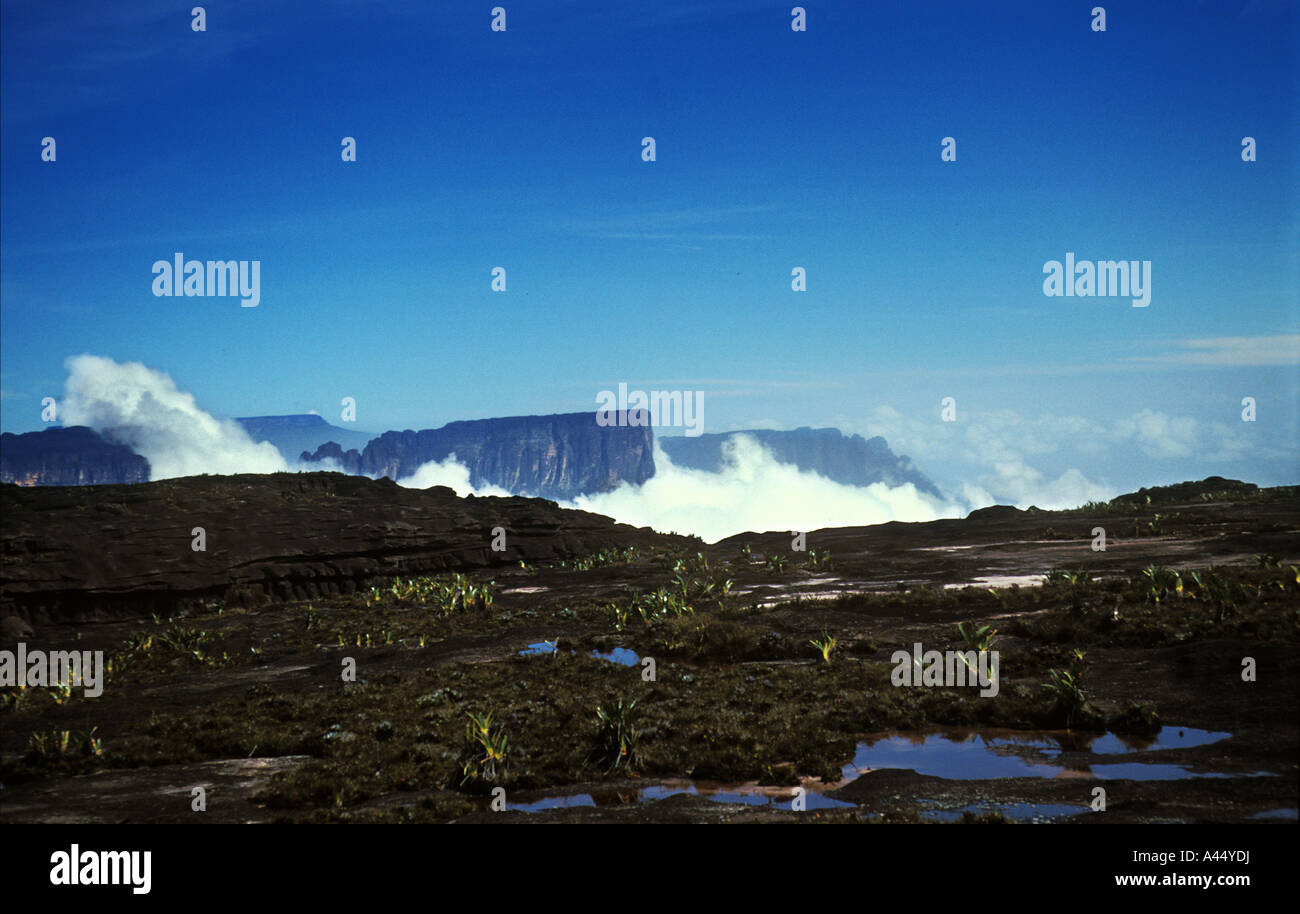 Venezuela - On top of Mt. Roraima Stock Photo