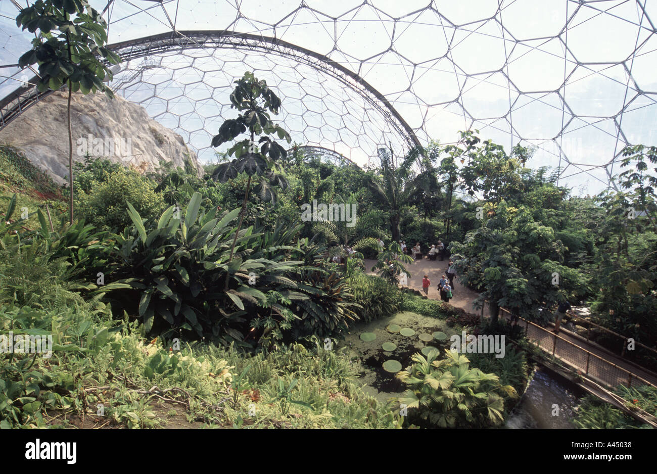 A tropical rainforest growing inside the world s largest conservatory Eden Project Cornwall UK Stock Photo