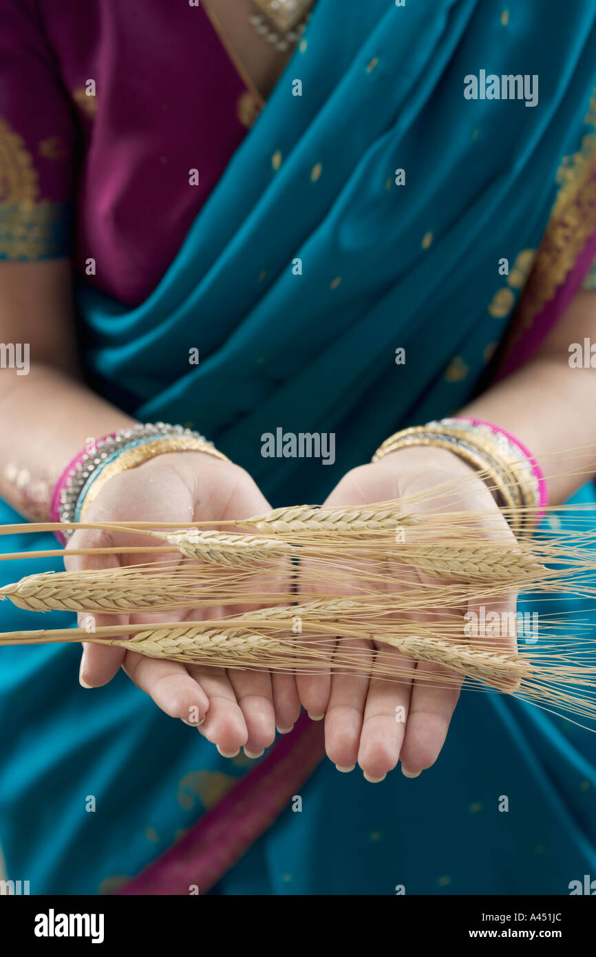 Close up of grain in Indian woman s hands Stock Photo