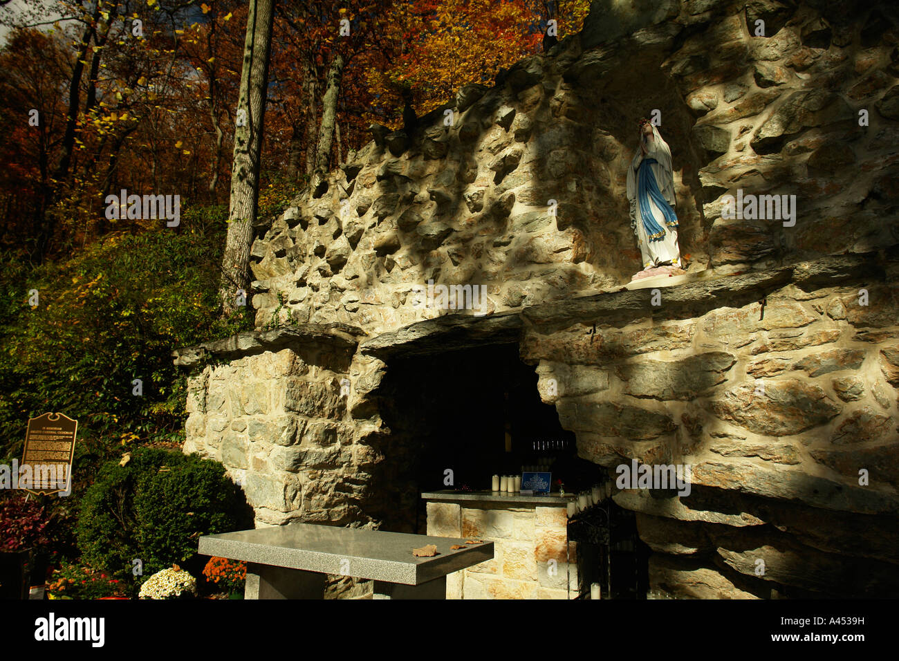 AJD53542, Emmitsburg, MD, Maryland, Mount St. Mary's University