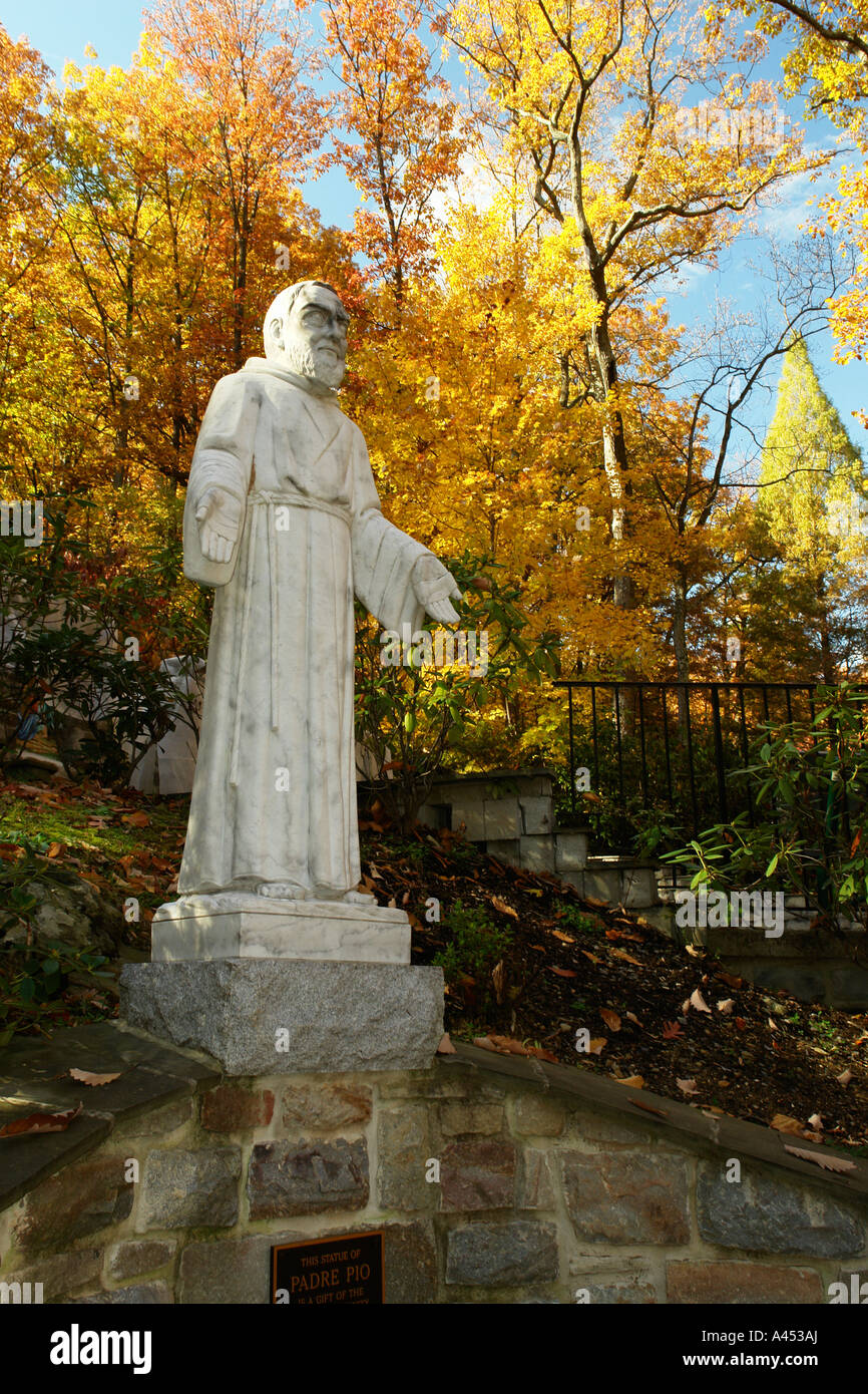 AJD53548, Emmitsburg, MD, Maryland, Mount St. Mary's University