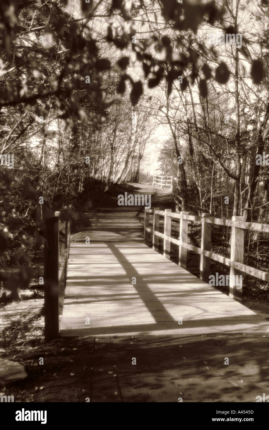 Wooden bridge over stream in woods leads to open space Stock Photo - Alamy