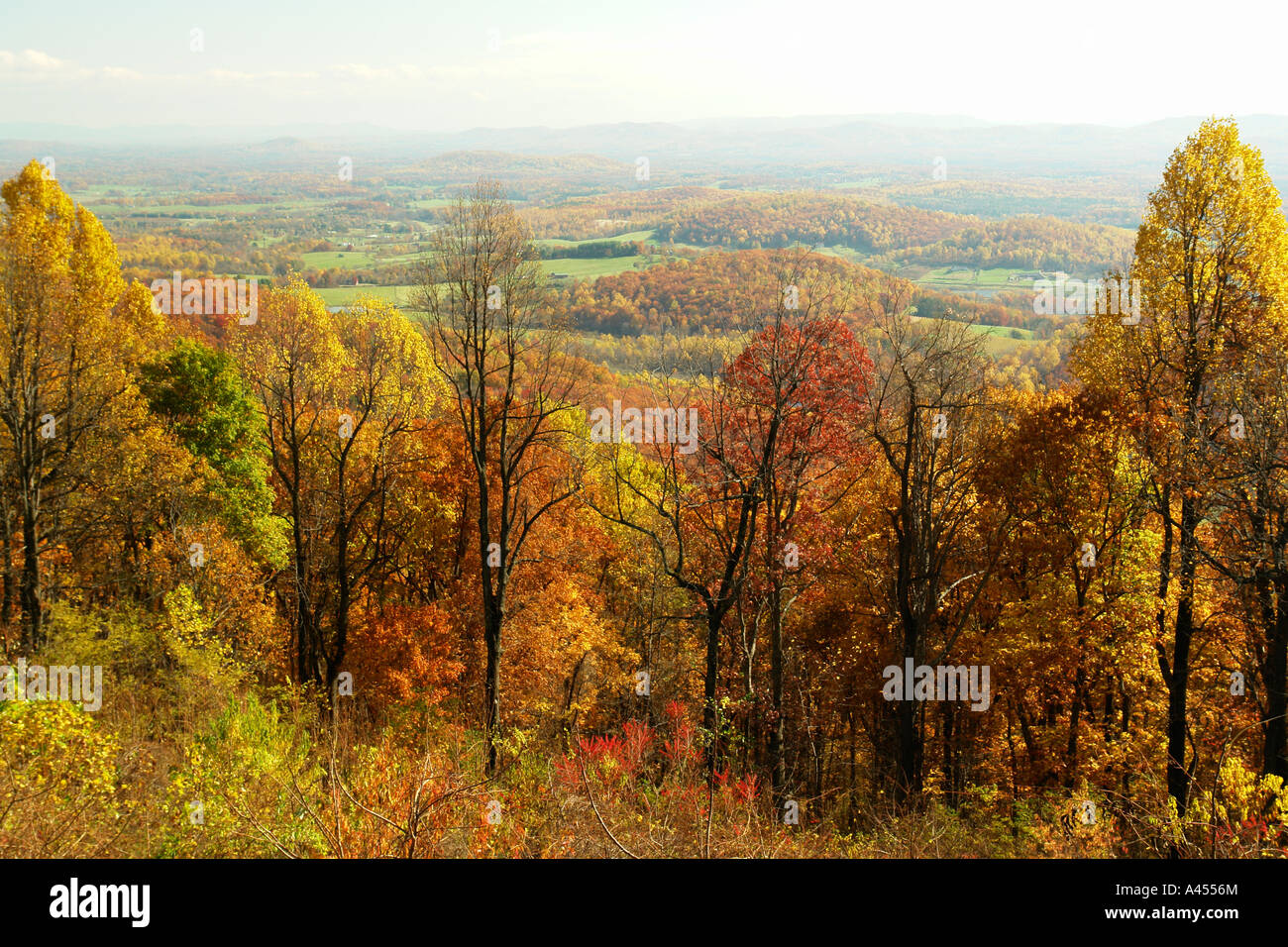 AJD53773, Rockfish Gap, VA, Virginia, Shenandoah Valley, Blue Ridge Parkway, overlook Stock Photo