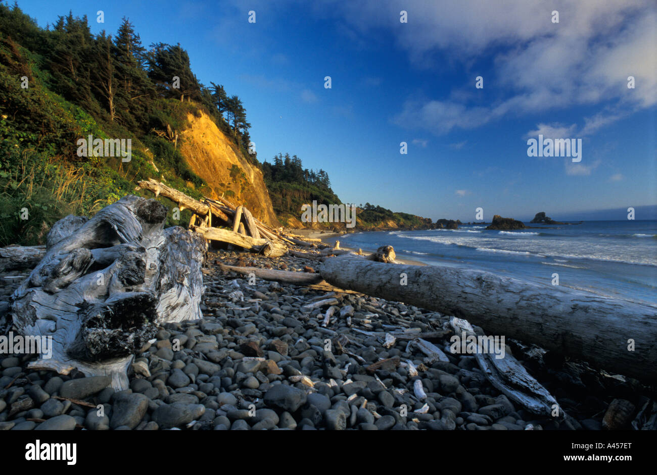 Ecola State Park USA Stock Photo Alamy