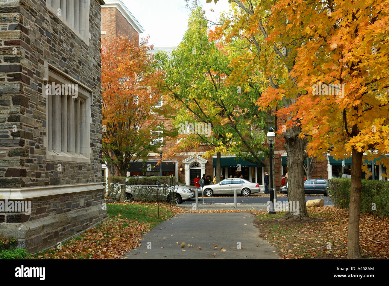 AJD53253, Princeton, NJ, New Jersey, downtown, Princeton University