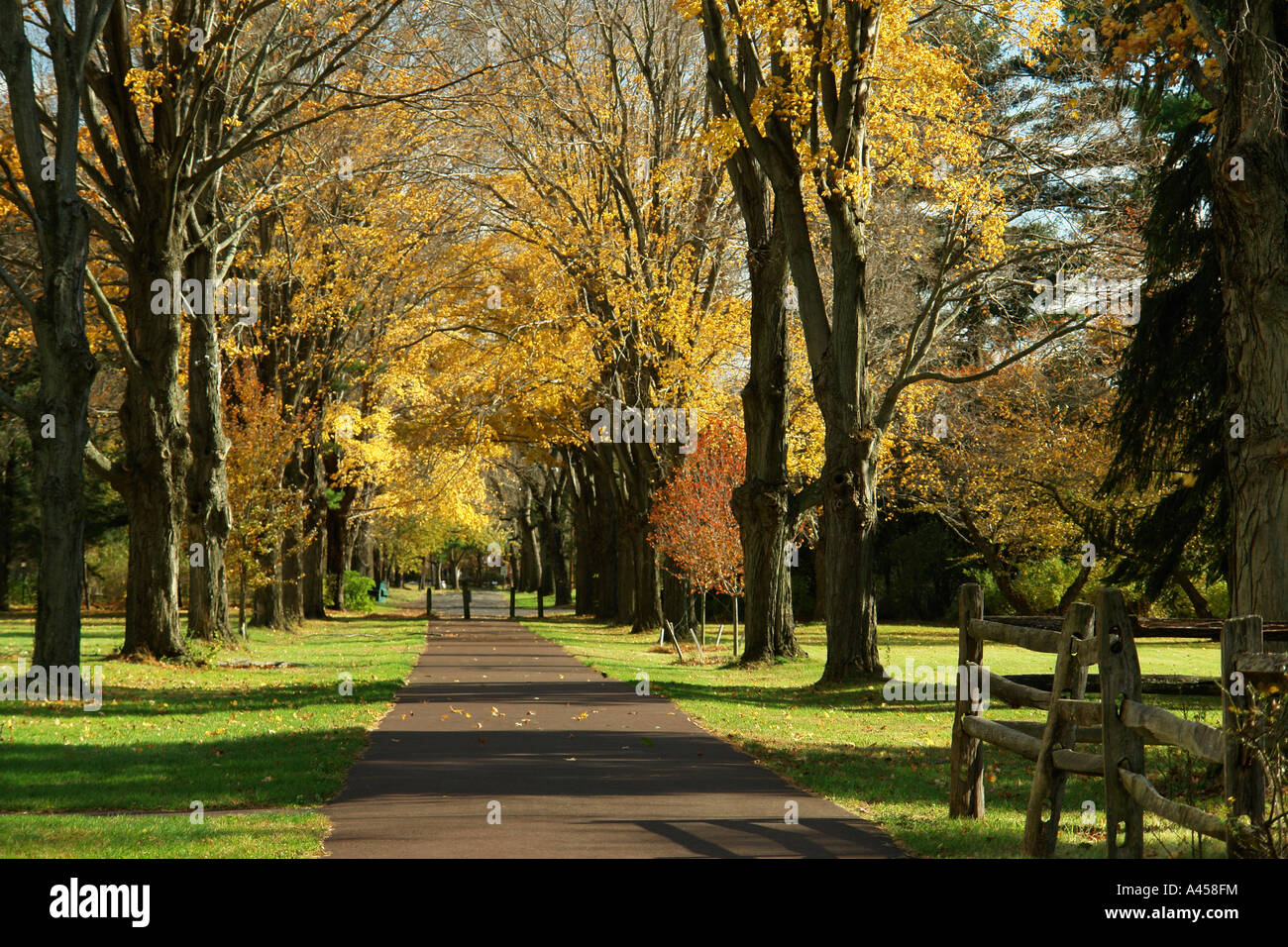 AJD53281, Taylorville, PA, Pennsylvania, Washington Crossing Historic