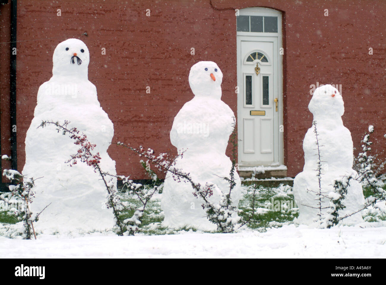 Snow family in House Lane Arlesey Beds UK Stock Photo Alamy