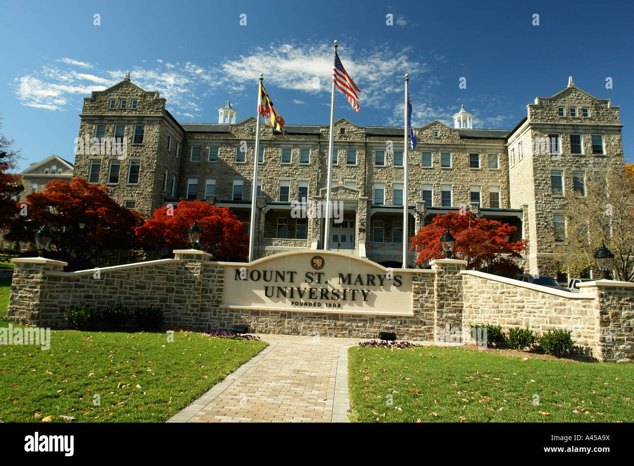 AJD53537, Emmitsburg, MD, Maryland, Mount St. Mary's University Stock