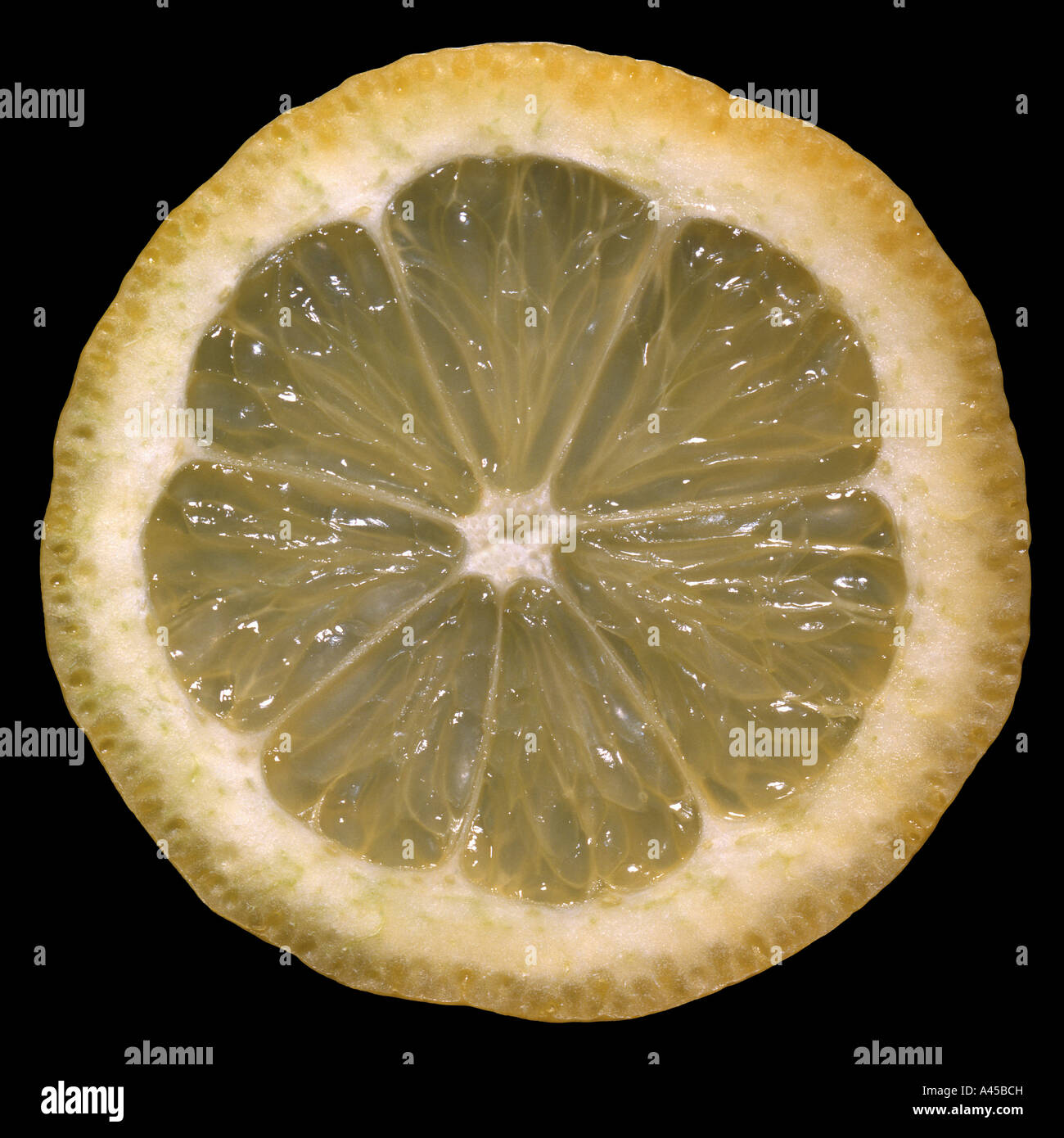 Slice of Lemon Stock Photo