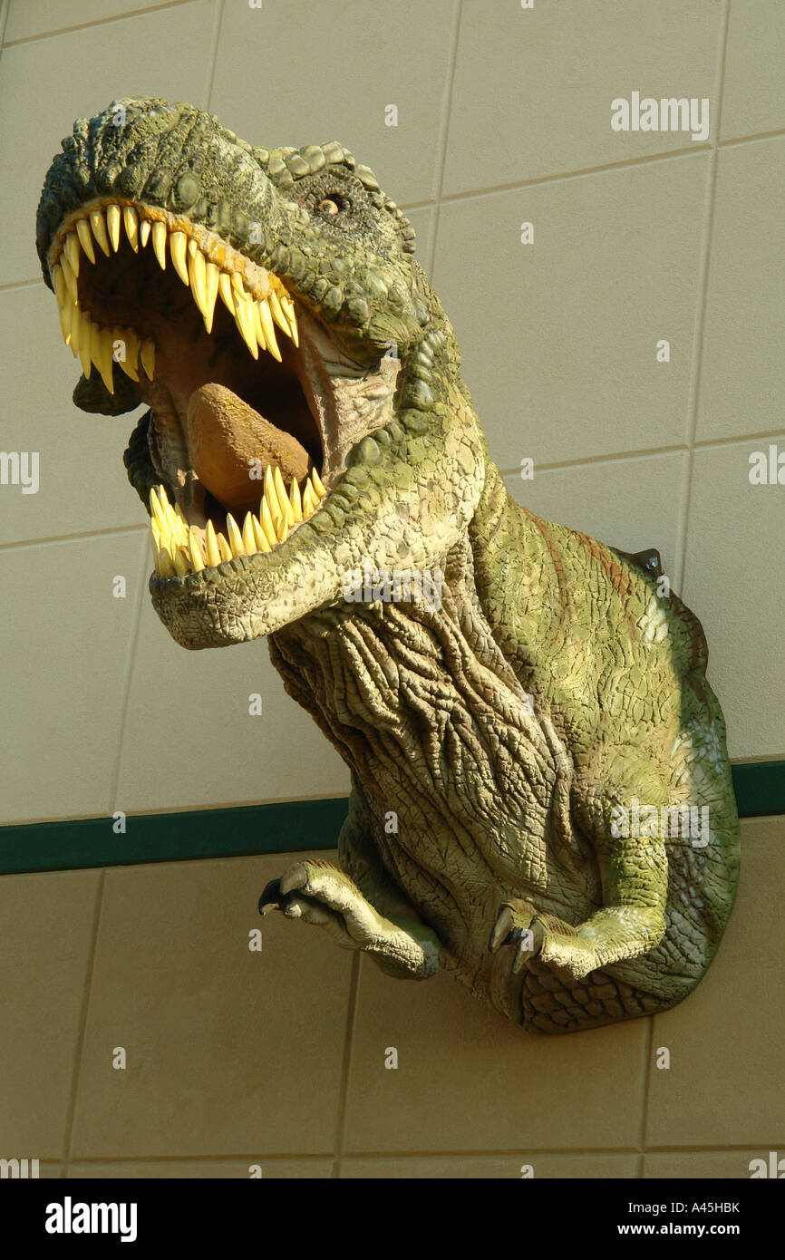 Ajd57246 Glendive Mt Montana Dinosaur Fossil Museum Stock Photo Alamy