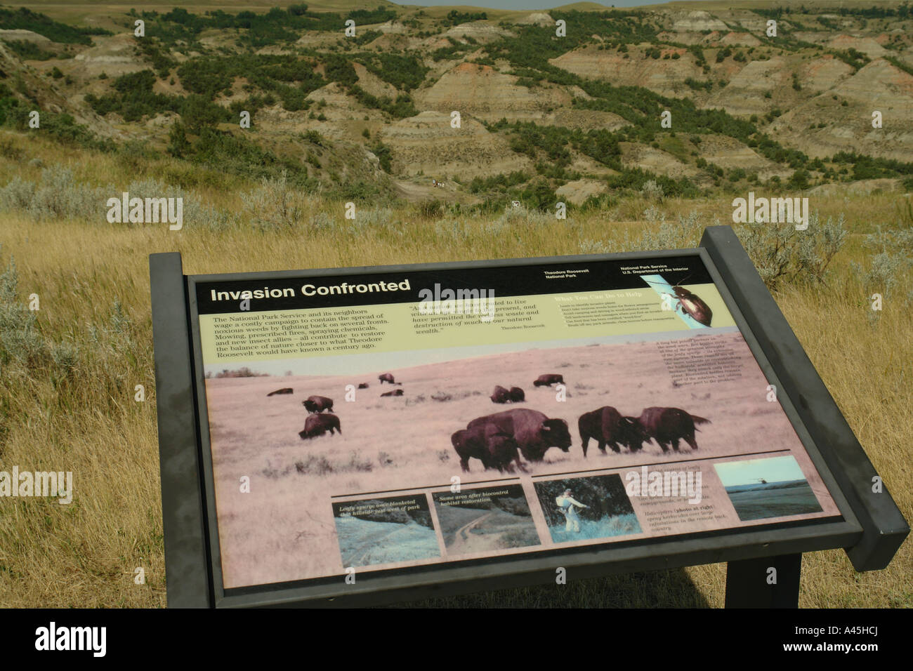 AJD57257, Medora, ND, North Dakota, Theodore Roosevelt National Park