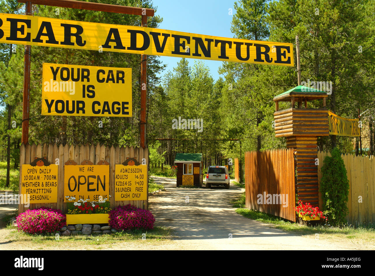 AJD56563, Hungry Horse/Coran/West Glacier, MT, Montana, Great Bear