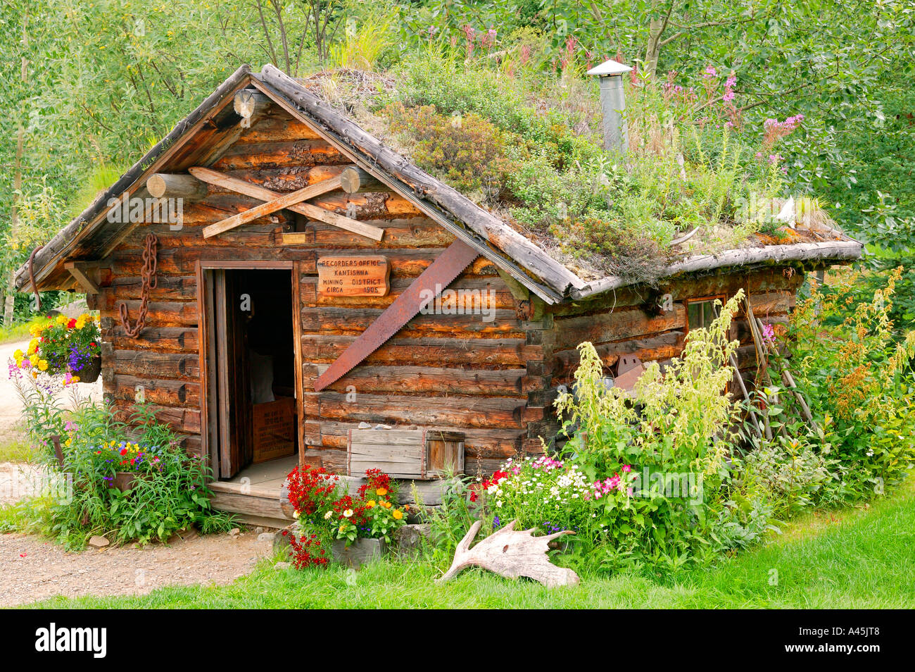 Historic cabin Recorder s Office Kantishna Mining District Denali