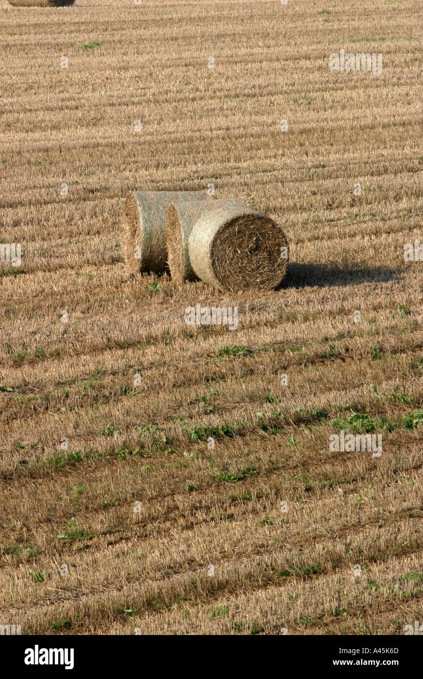 Straw round cornwall hires stock photography and images Alamy