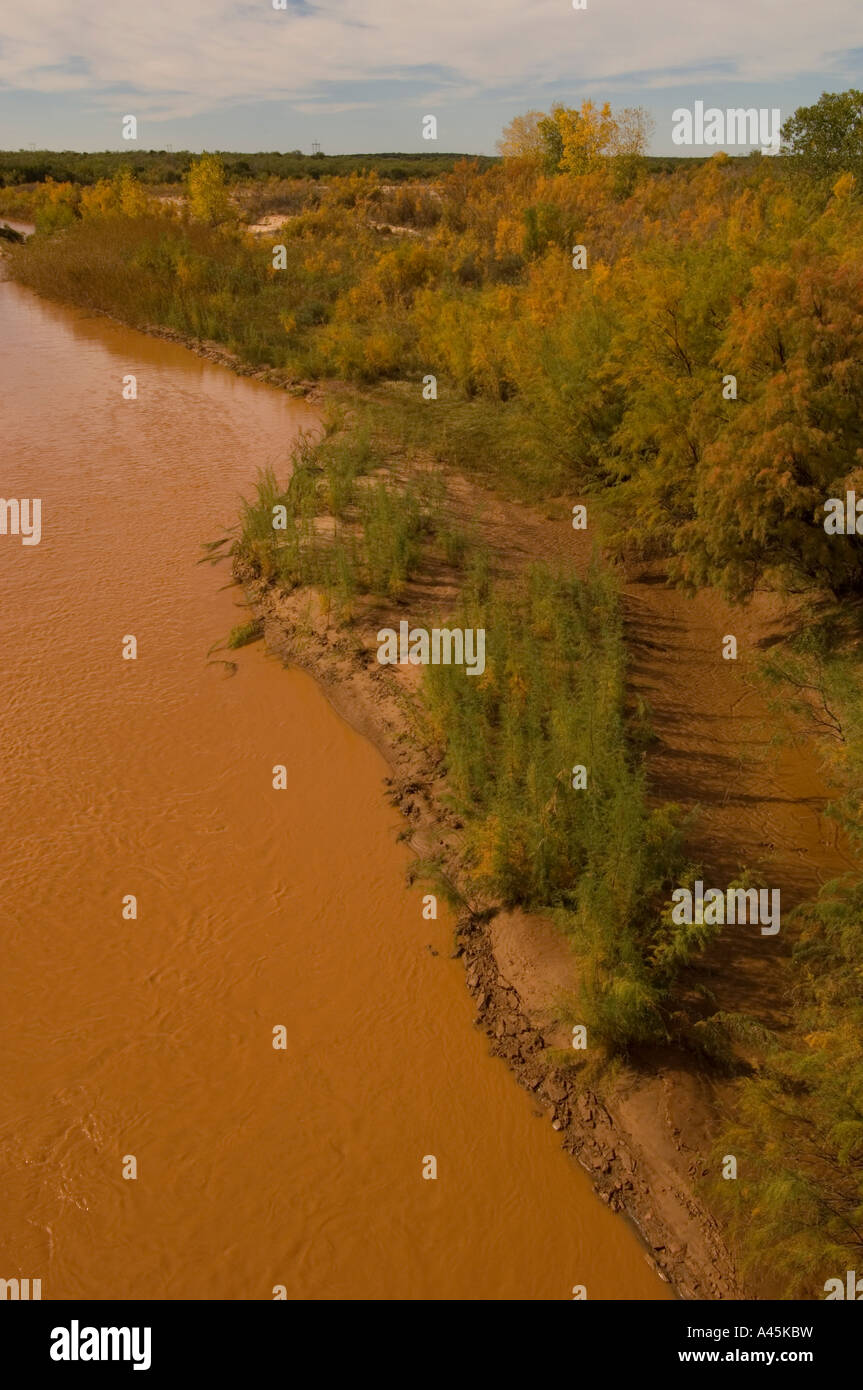 THE INVASIVE PLANT SPECIES SALT CEDAR GROWS ALONG THE PEASE RIVER TEXAS