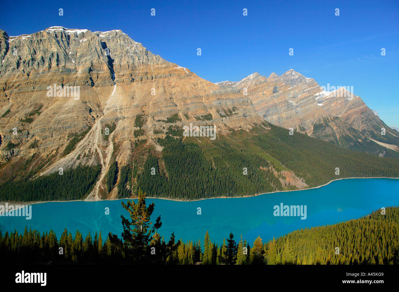Peyto Lake at Bow Summit Banff National Park Alberta Canada Stock Photo ...
