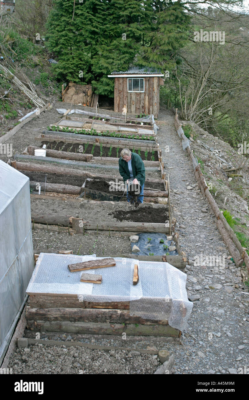 COMPOST USING A BUCKET TO APPLY COMPOST TO A RAISED BED Stock Photo Alamy