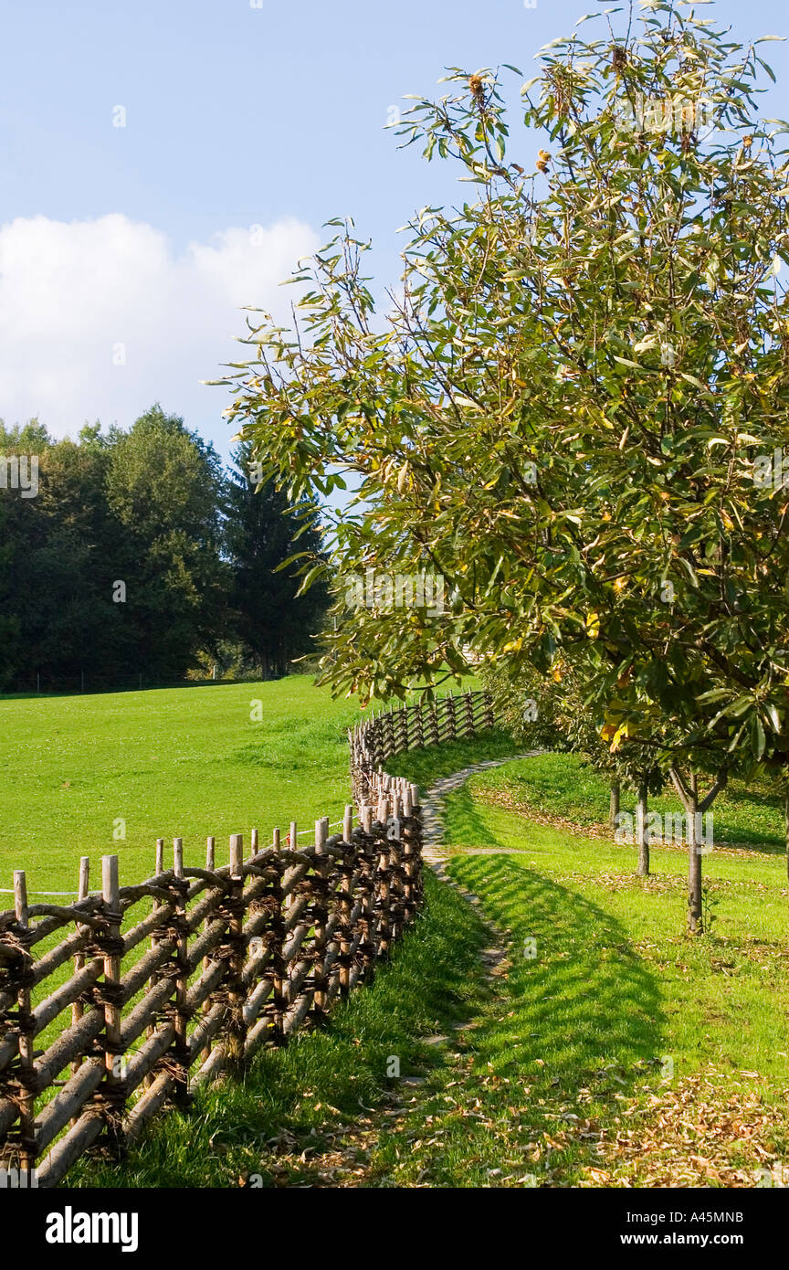 Kirchdorf castle near Grafendorf Steiermark Austria agriculture school plait fence and fruit tree Stock Photo