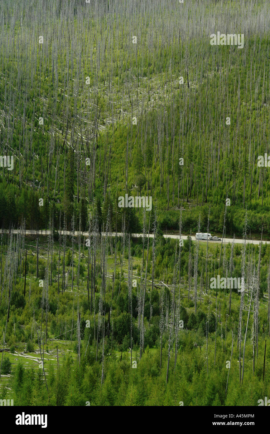 AJD55824, Colville National Forest, WA, Washington, Route 20, Sherman