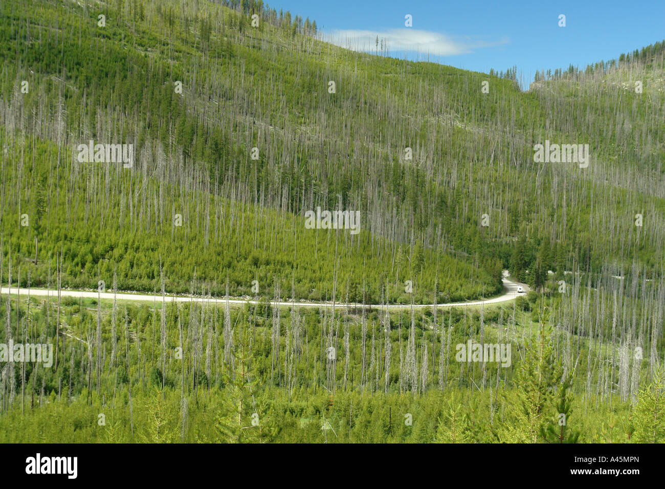 Sherman pass road hires stock photography and images Alamy