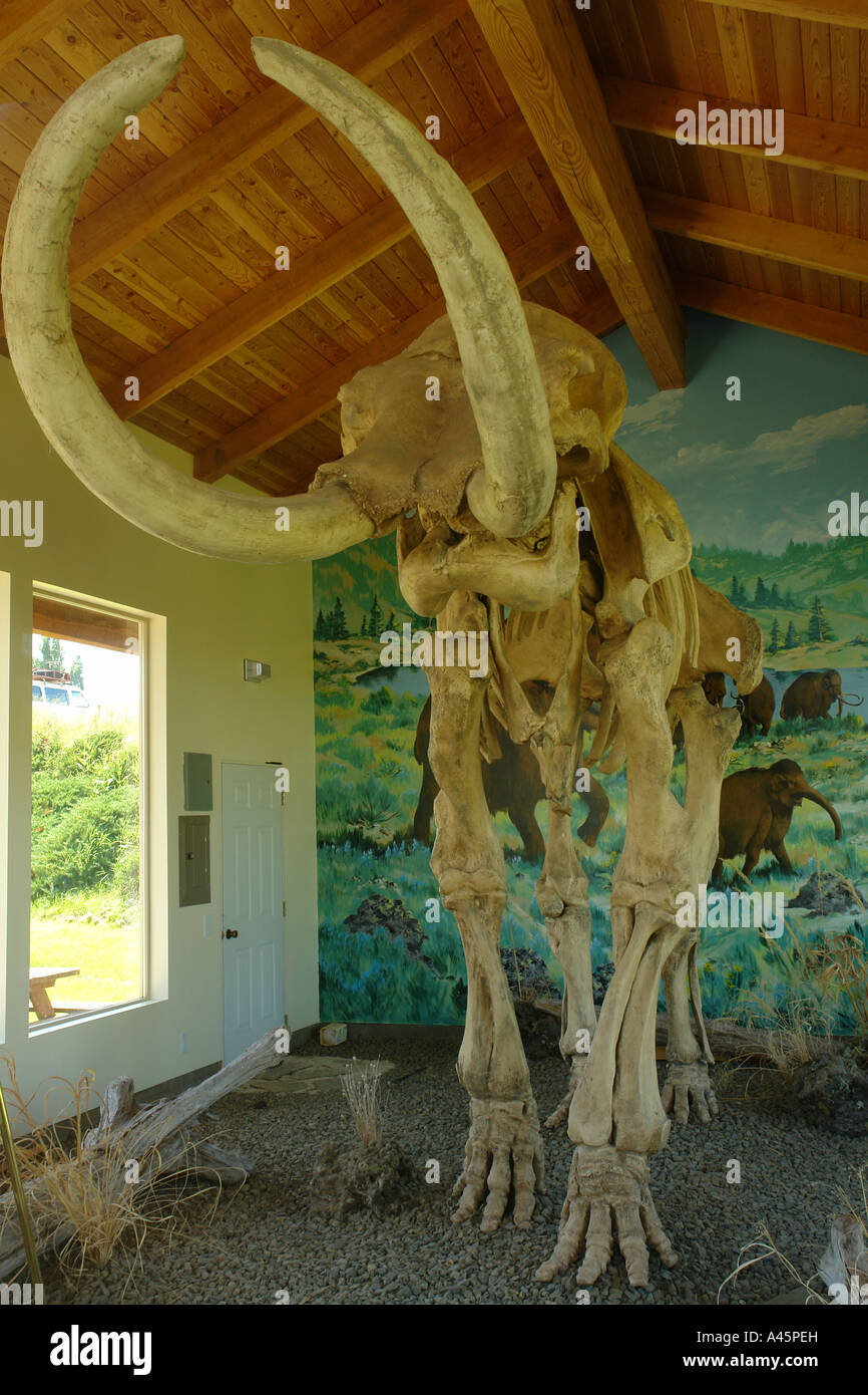 AJD56167, Grangeville, ID, Idaho, Life-size replica of Mammoth, Lake Tolo Stock Photo